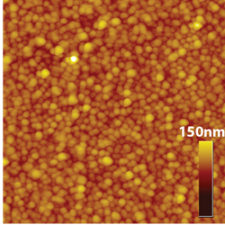 gold np afm